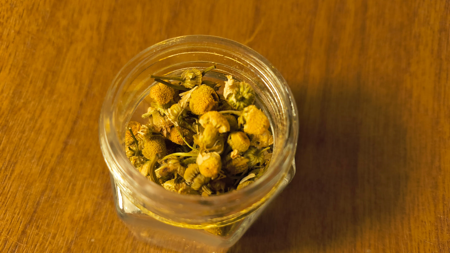 Chamomile - Matricaria Recutita