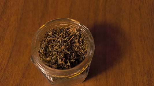 Lemon Balm - Melissa Officinalis