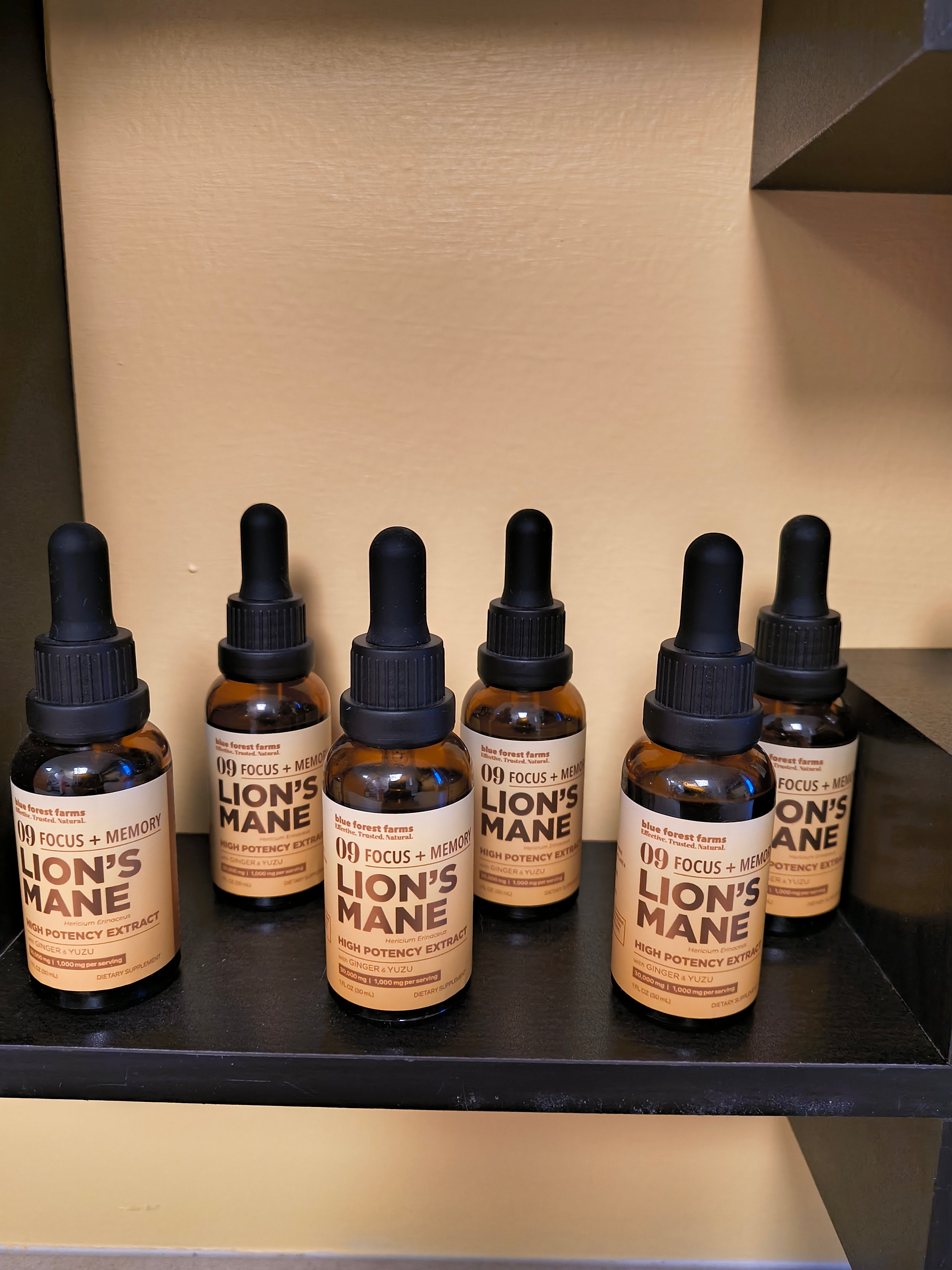 Lion's Mane Extract