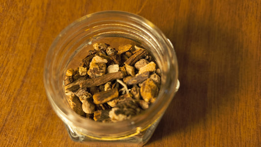 Dandelion Root - Taraxacum Officinale L.