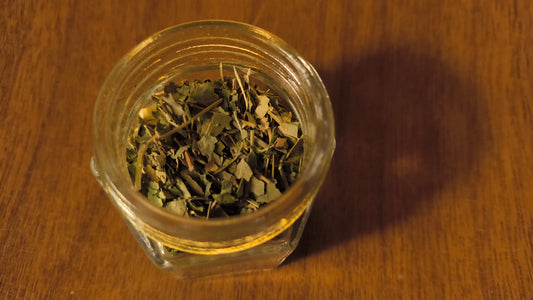Moringa - Moringa Oleifera