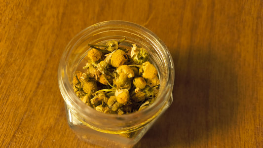 Chamomile - Matricaria Recutita