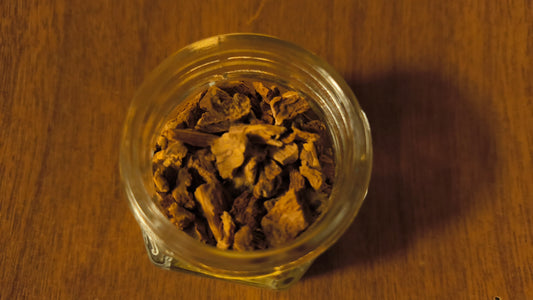 Sarsaparilla - Smilax Ornata