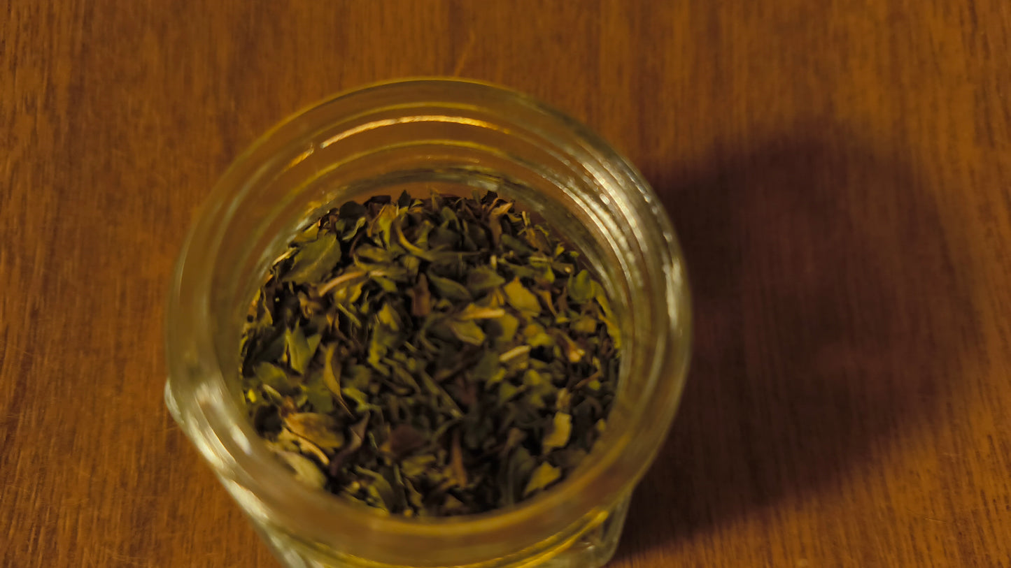 Peppermint - Mentha Piperita L