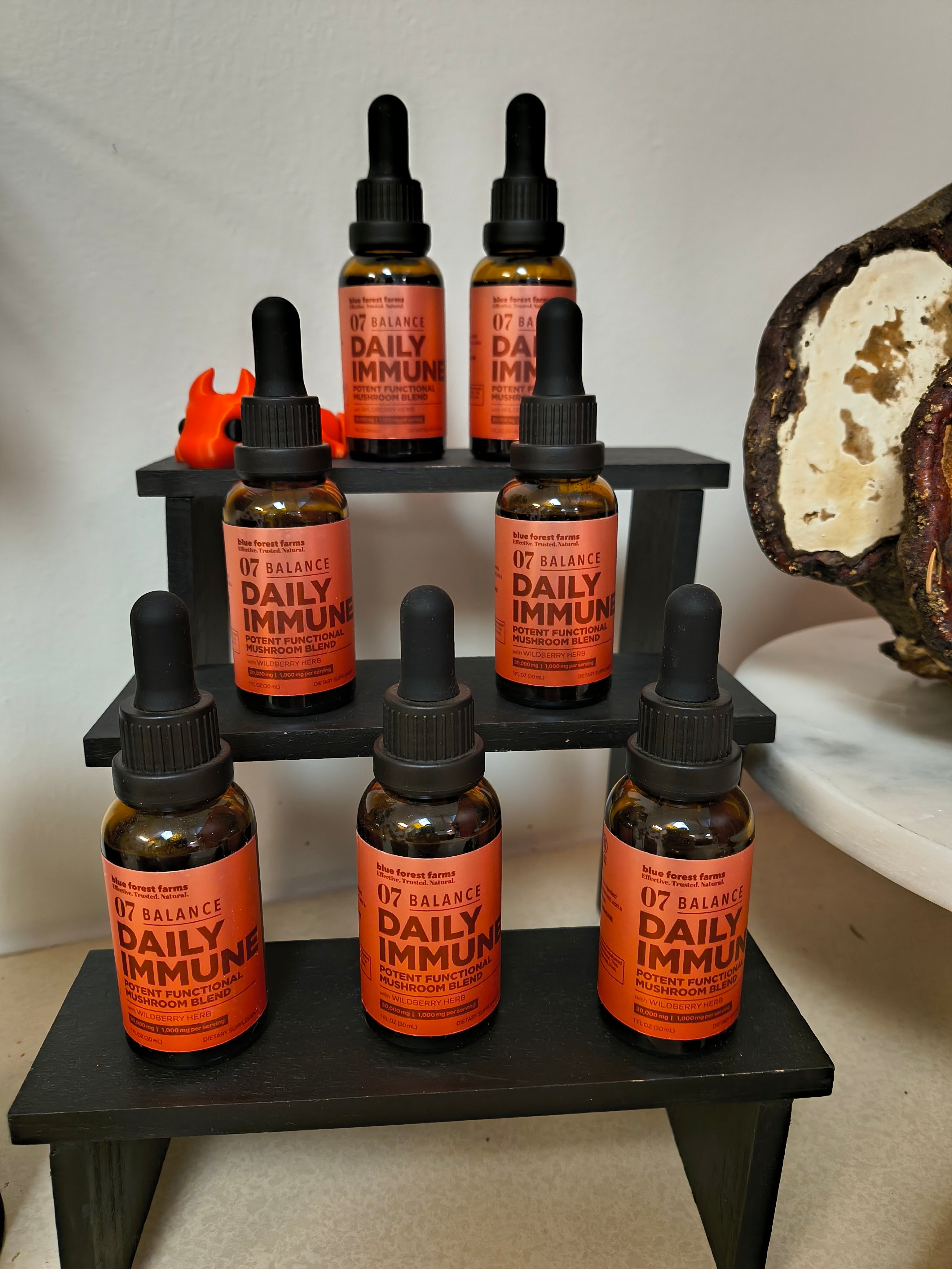 Daily Immunity Mushroom Tincture