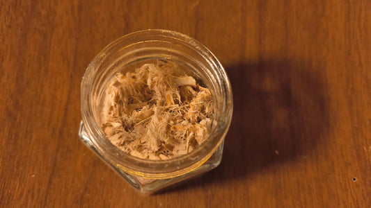 Slippery Elm - Ulmus Rubra