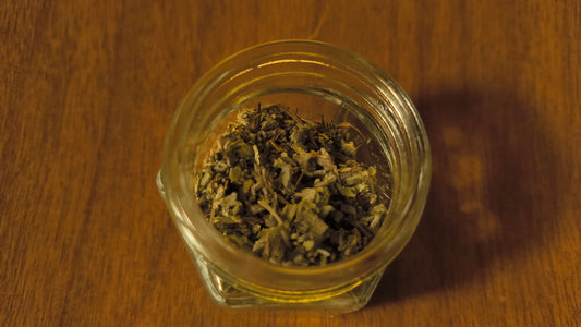 Sage - Salvia Officinalis