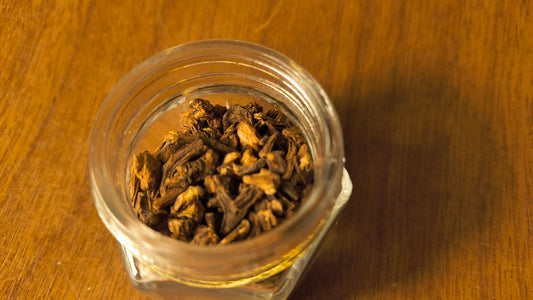 Angelica Root - Angelica Archangelica