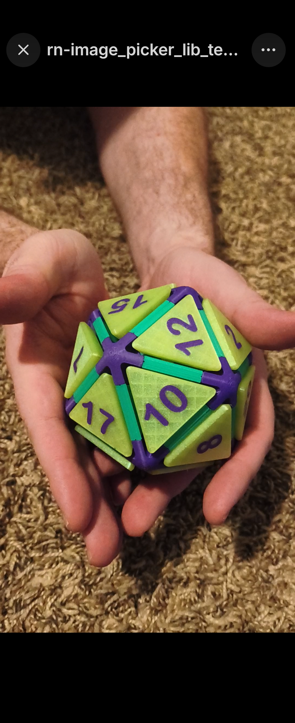 Large D20 Fidget - Green and Purple