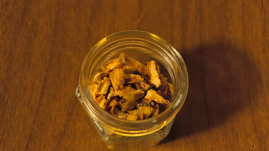 Orange Peel - Citrus Sinensis