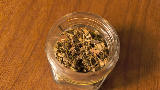 Damiana - Turnera Diffusa