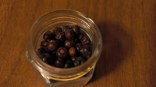 Juniper Berries - Juniperus Communis