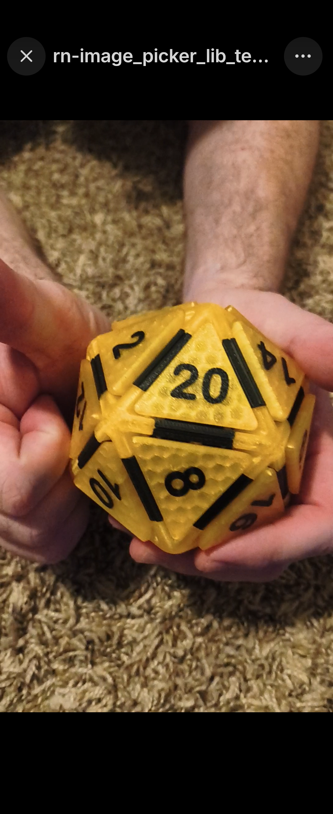 Large D20 Fidget - Honeycomb