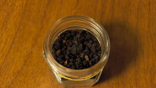 Elderberry - Sambucus Nigra L.