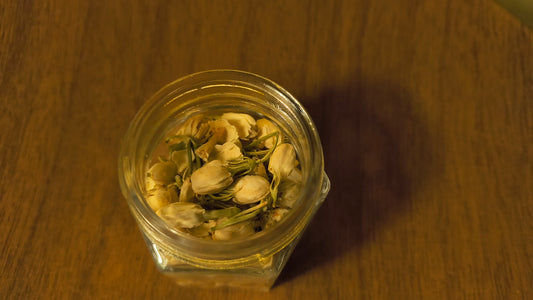 Jasmine - Jasminum Officinale