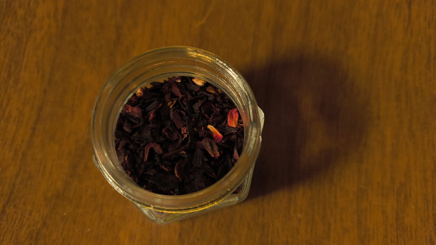 Hibiscus - Hibiscus Rosa-sinensis