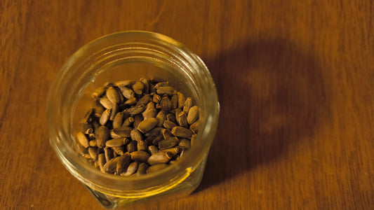 Milk Thistle Seed - Silybum Marianum