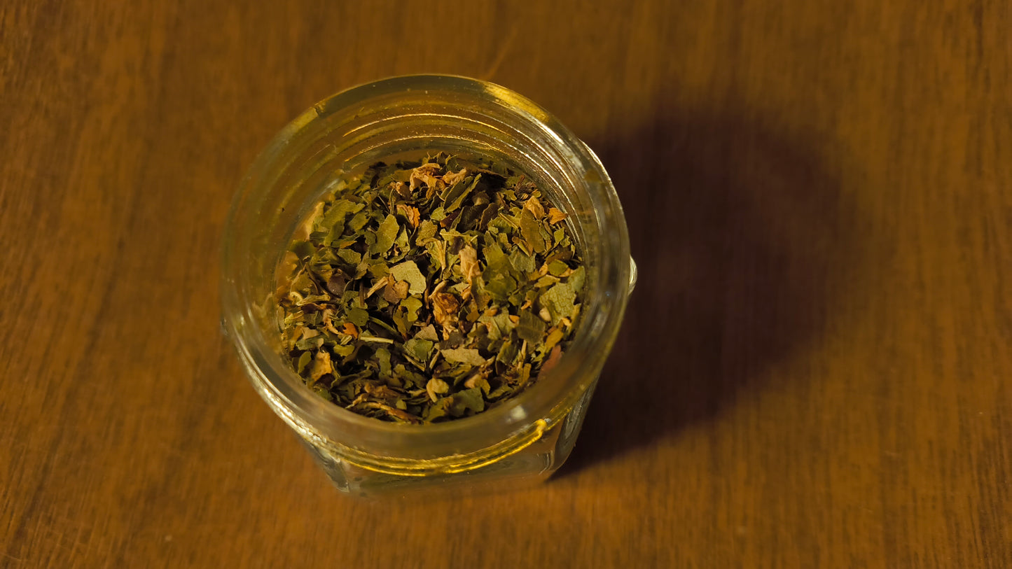 Echinacea - Echinacea Purpurea