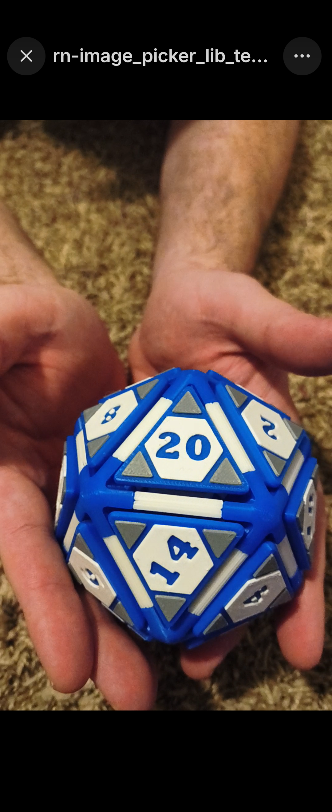 Large D20 Fidget - Blue and Grey