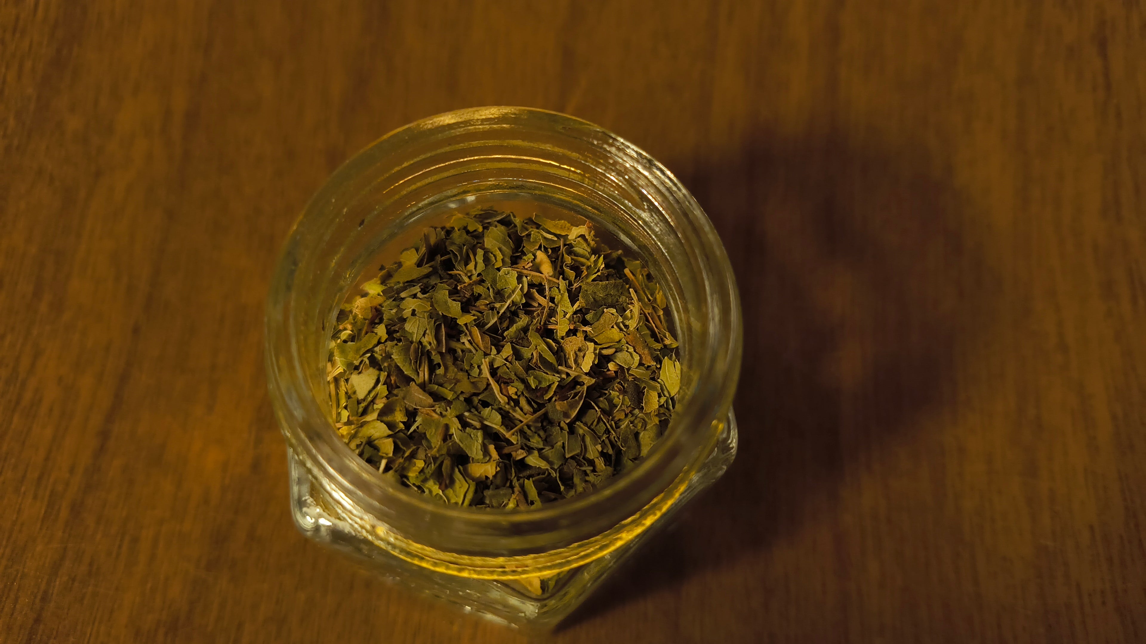 Lemon Verbena - Aloysia Citrodora