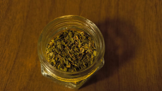 Lemon Verbena - Aloysia Citrodora