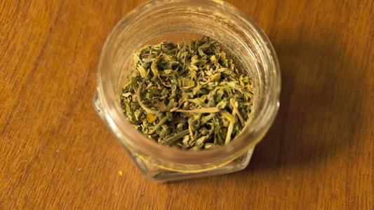 Catnip - Nepeta Cataria