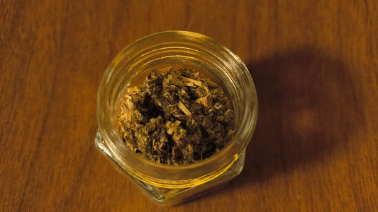 Mugwort - Artemisia Vulgaris